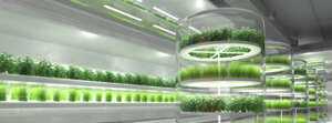 4FoodLab